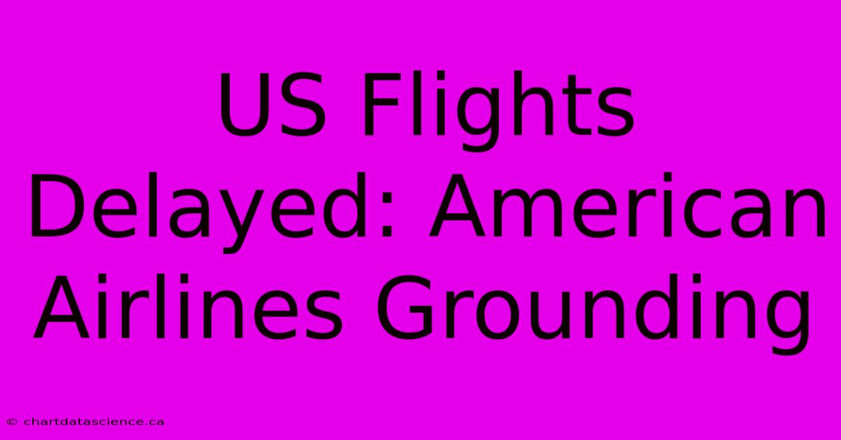 US Flights Delayed: American Airlines Grounding