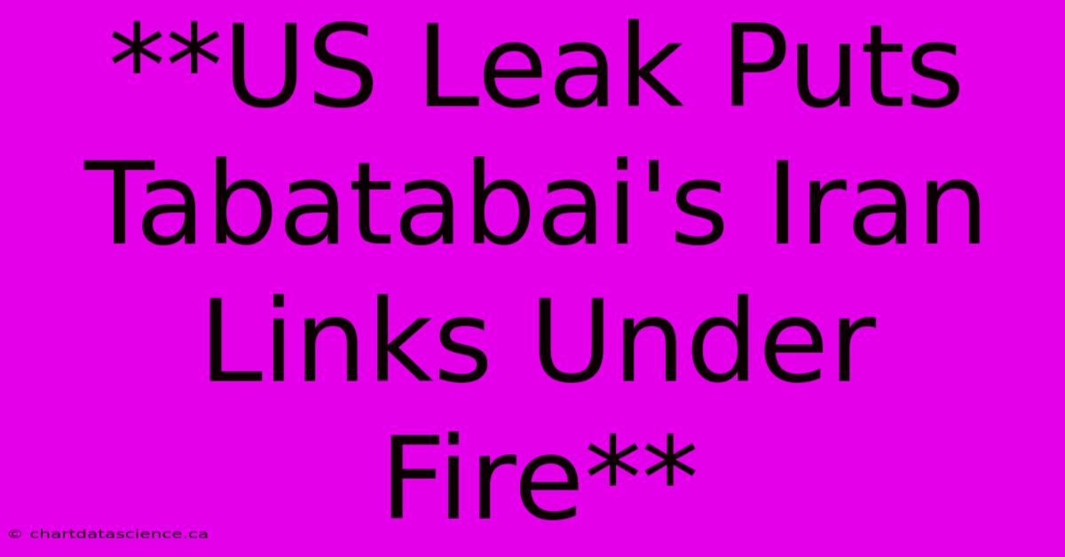 **US Leak Puts Tabatabai's Iran Links Under Fire**