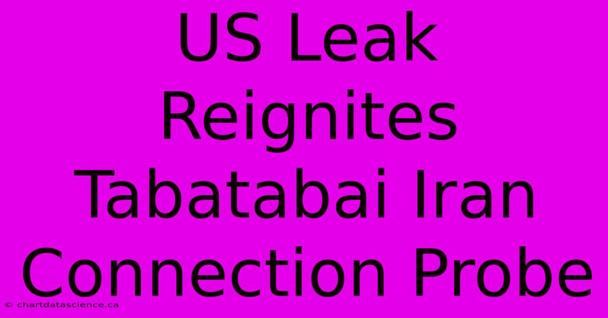 US Leak Reignites Tabatabai Iran Connection Probe