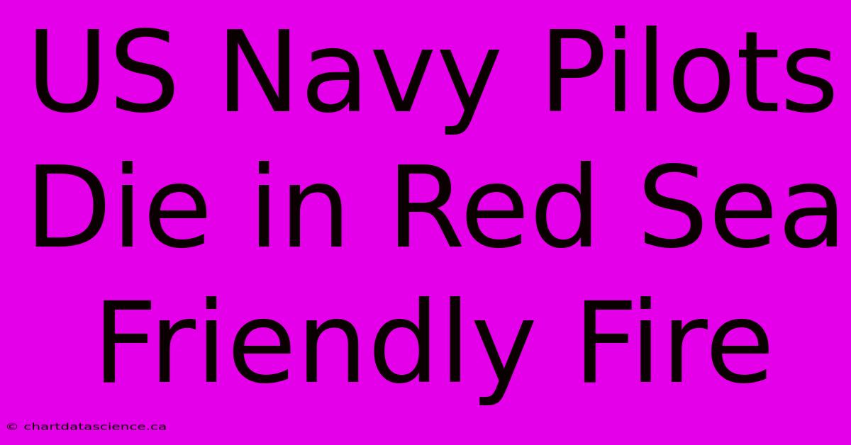 US Navy Pilots Die In Red Sea Friendly Fire