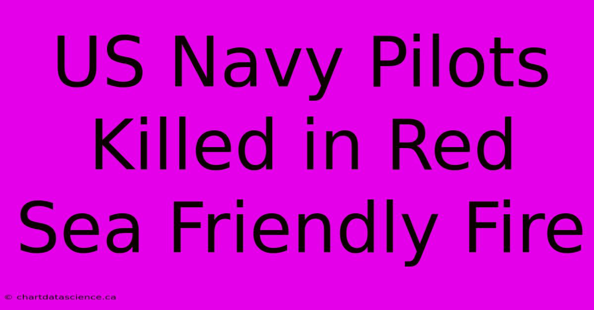 US Navy Pilots Killed In Red Sea Friendly Fire