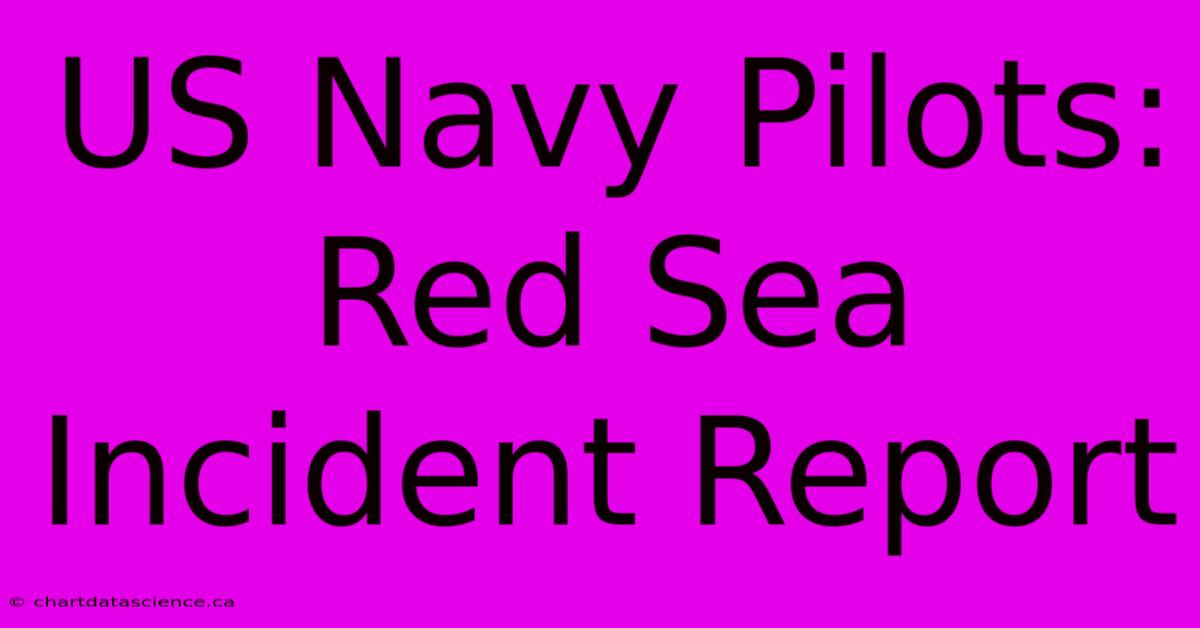 US Navy Pilots: Red Sea Incident Report