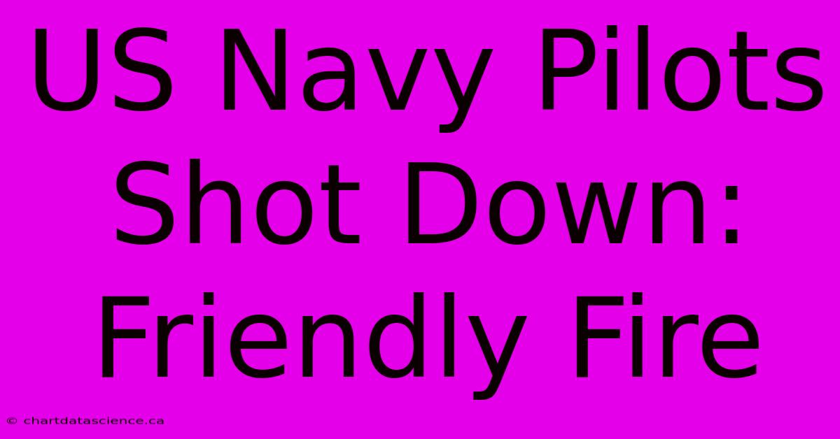 US Navy Pilots Shot Down: Friendly Fire