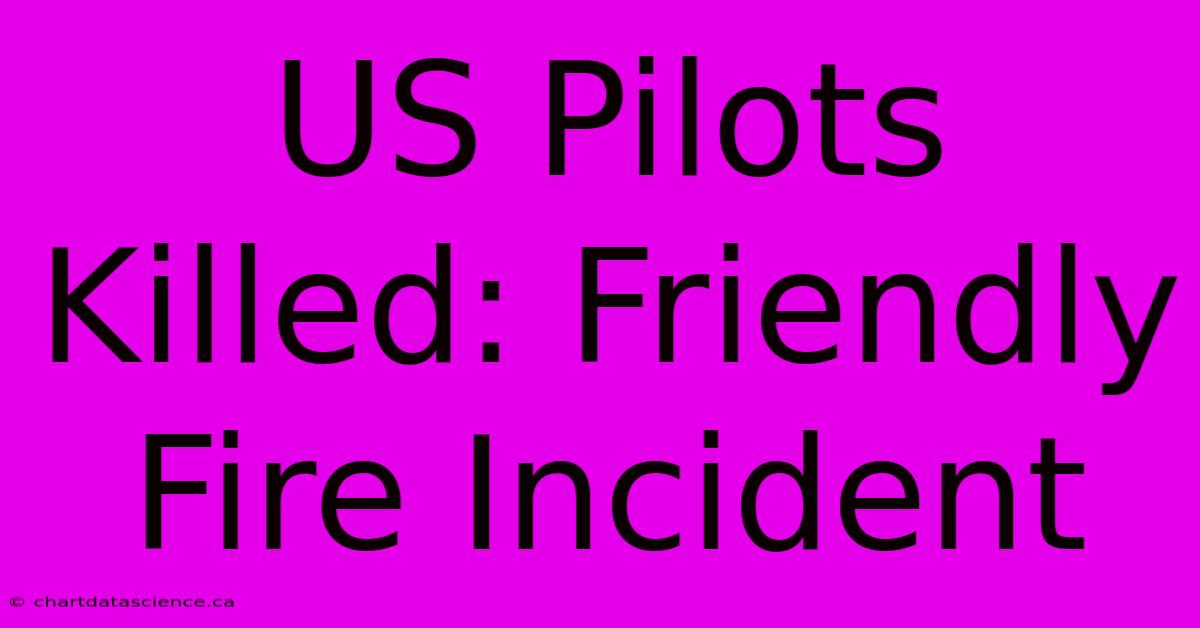 US Pilots Killed: Friendly Fire Incident