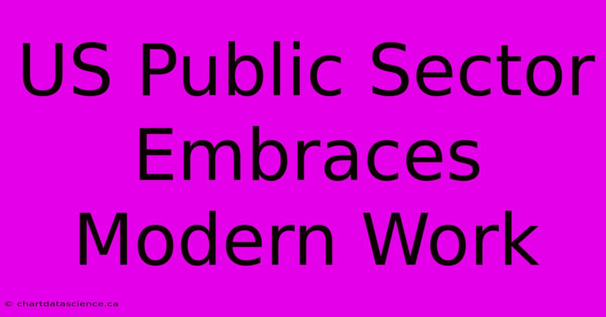 US Public Sector Embraces Modern Work