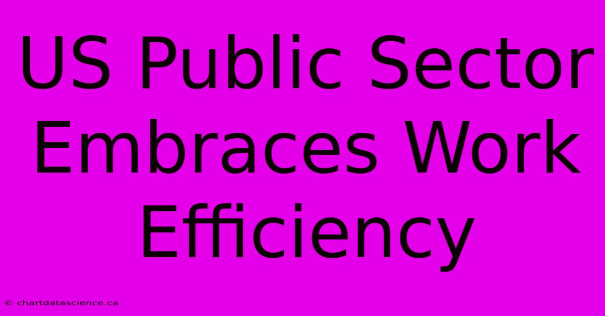 US Public Sector Embraces Work Efficiency 