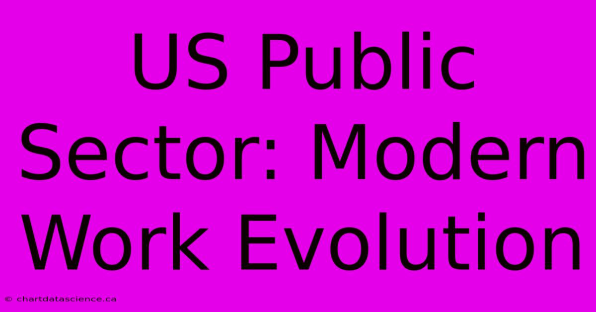 US Public Sector: Modern Work Evolution