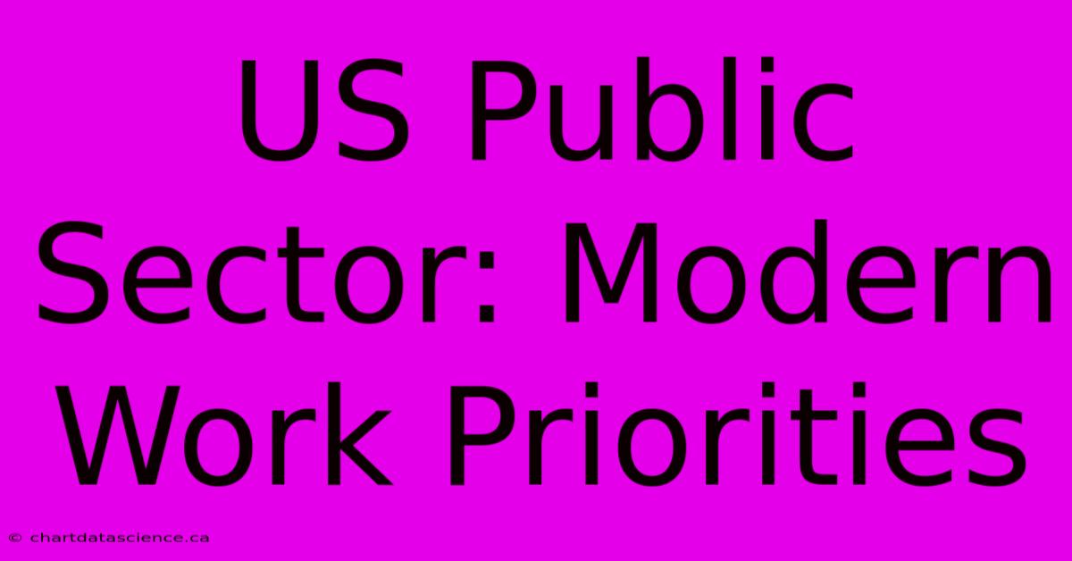 US Public Sector: Modern Work Priorities