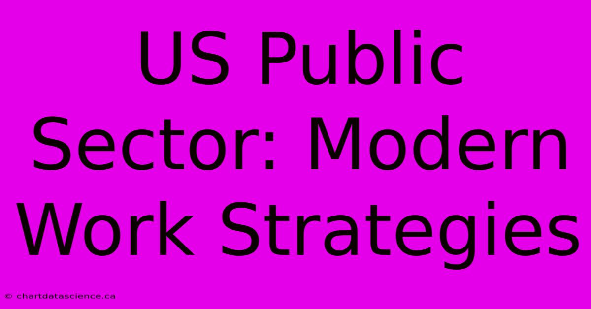 US Public Sector: Modern Work Strategies