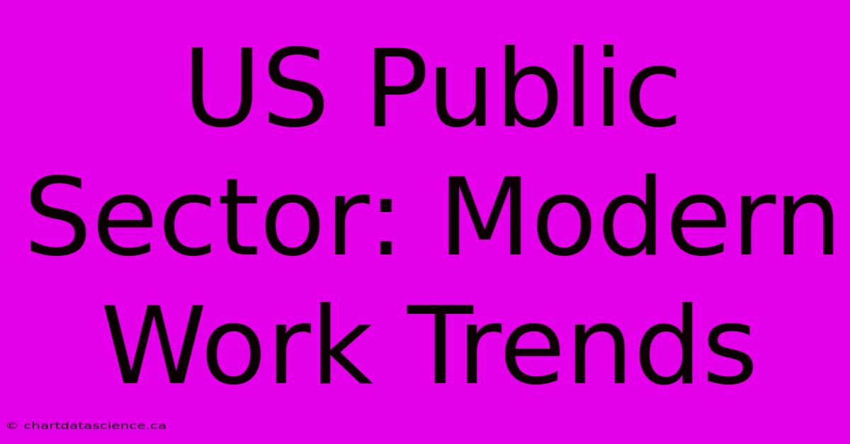 US Public Sector: Modern Work Trends