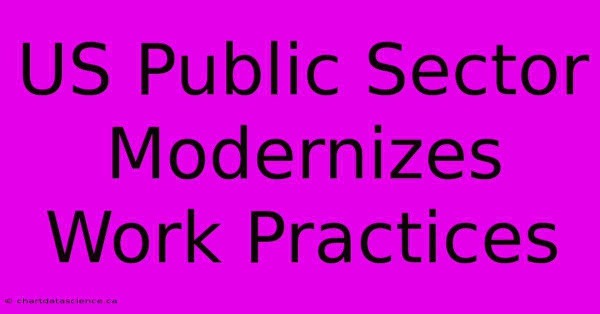 US Public Sector Modernizes Work Practices