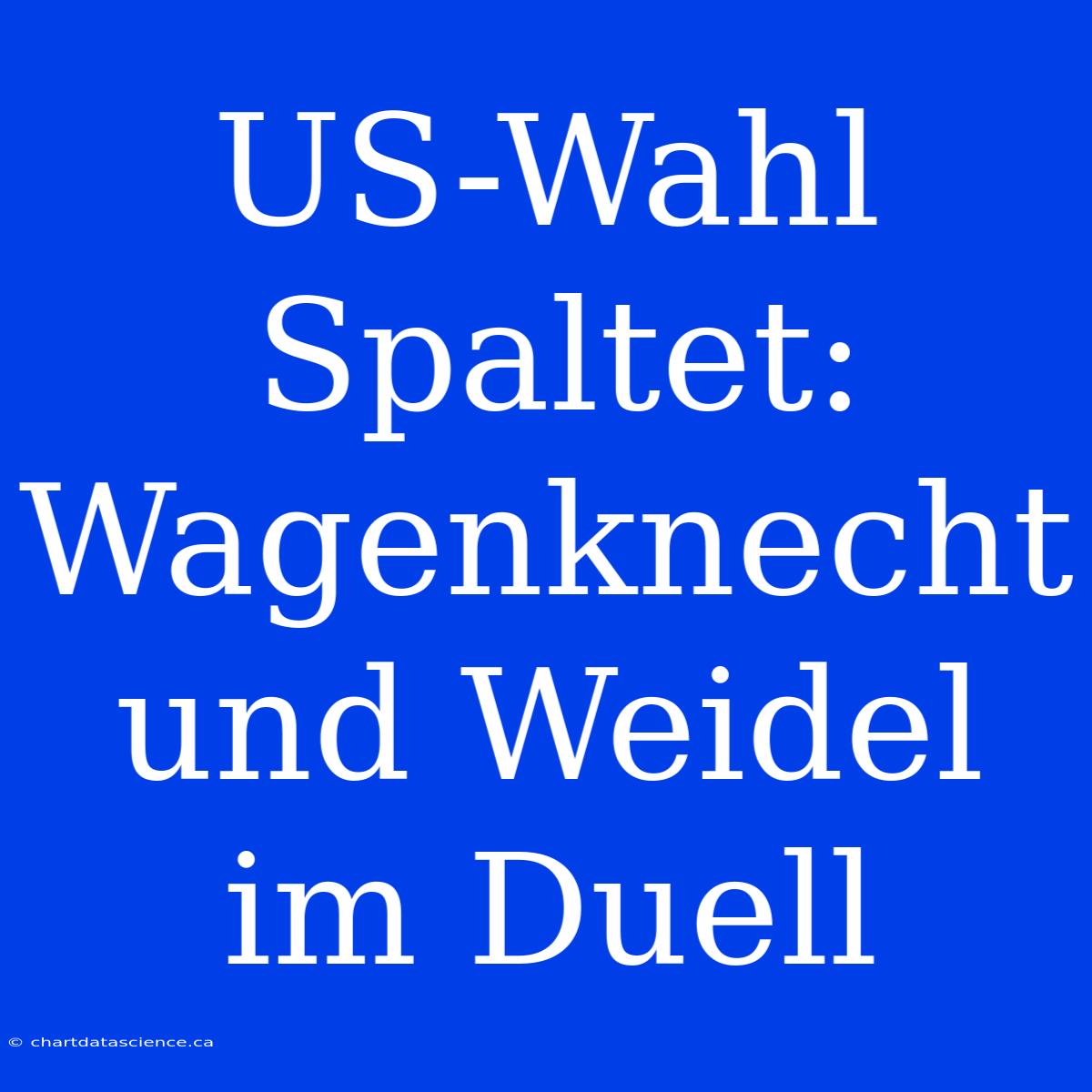 US-Wahl Spaltet: Wagenknecht Und Weidel Im Duell