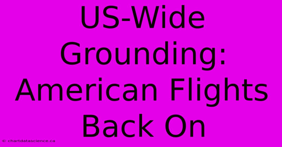 US-Wide Grounding: American Flights Back On