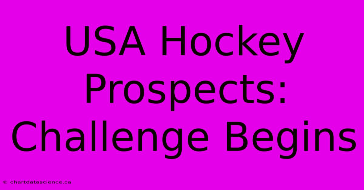 USA Hockey Prospects: Challenge Begins