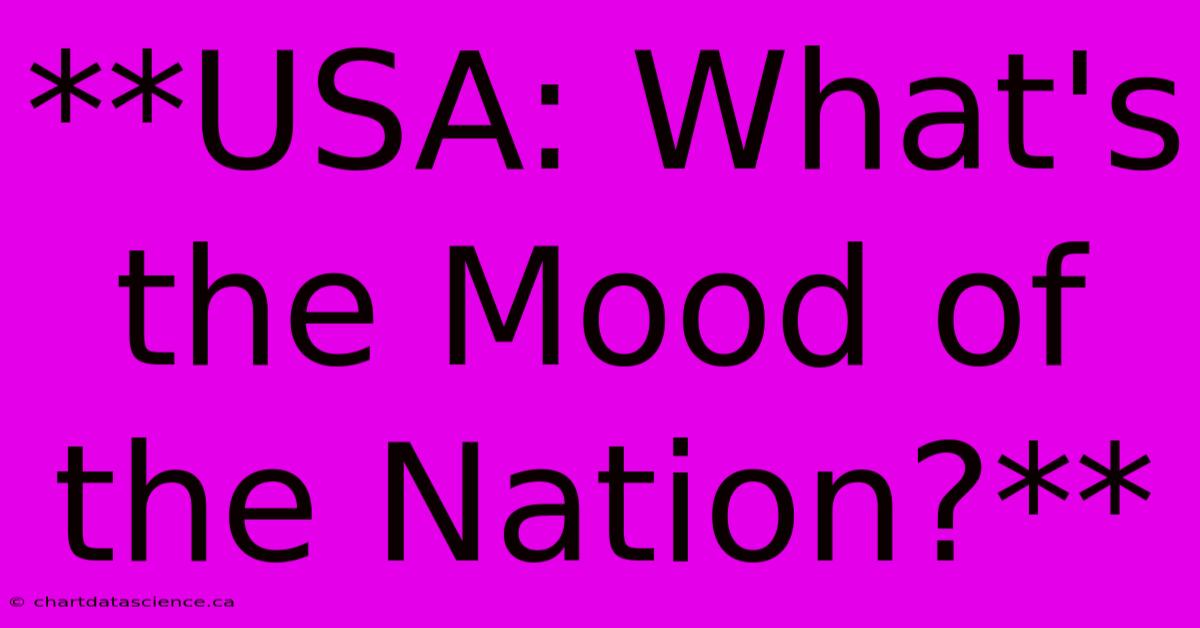 **USA: What's The Mood Of The Nation?**