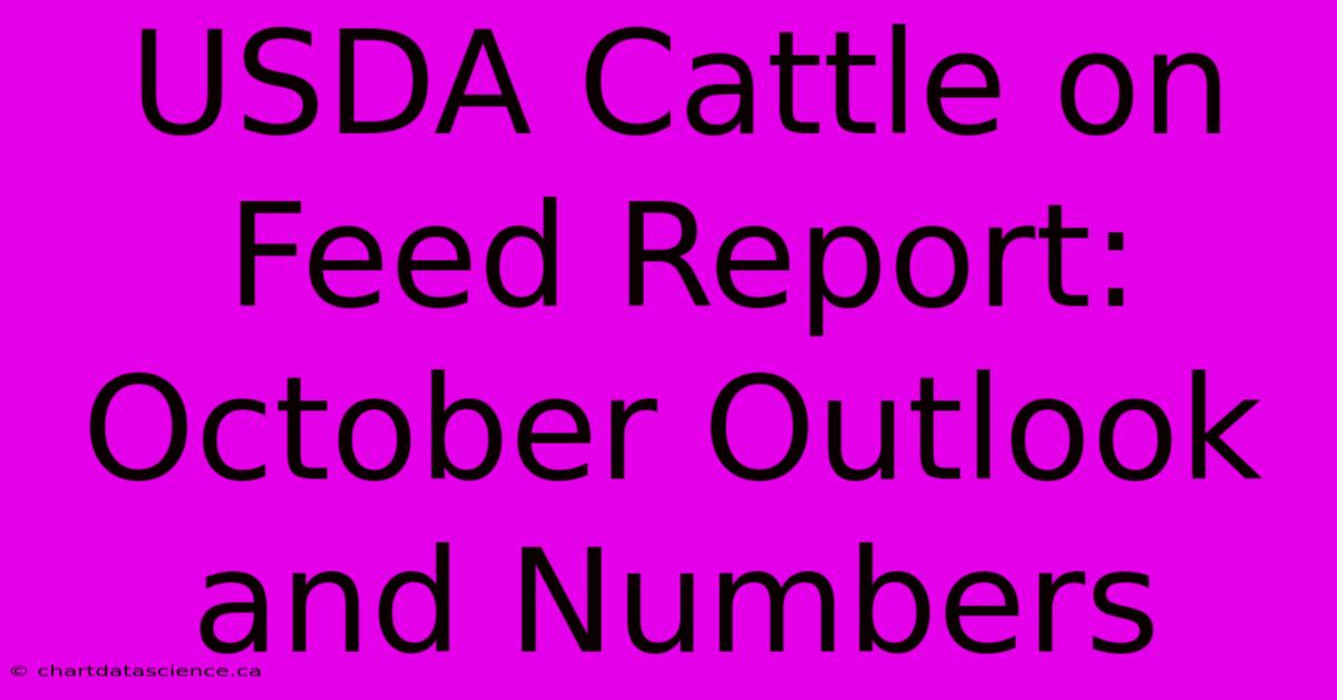 USDA Cattle On Feed Report: October Outlook And Numbers