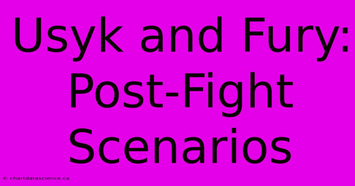 Usyk And Fury: Post-Fight Scenarios