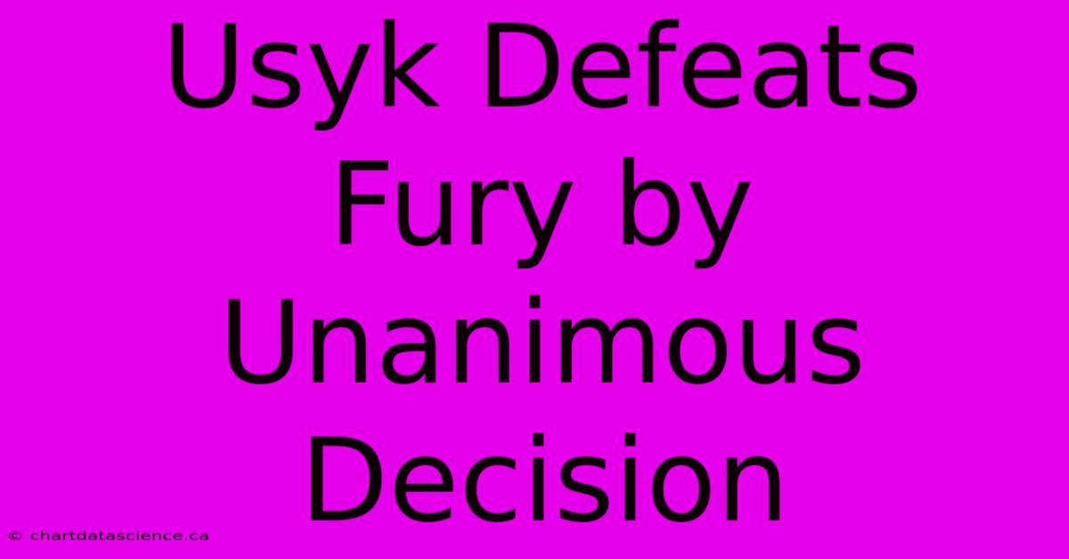 Usyk Defeats Fury By Unanimous Decision