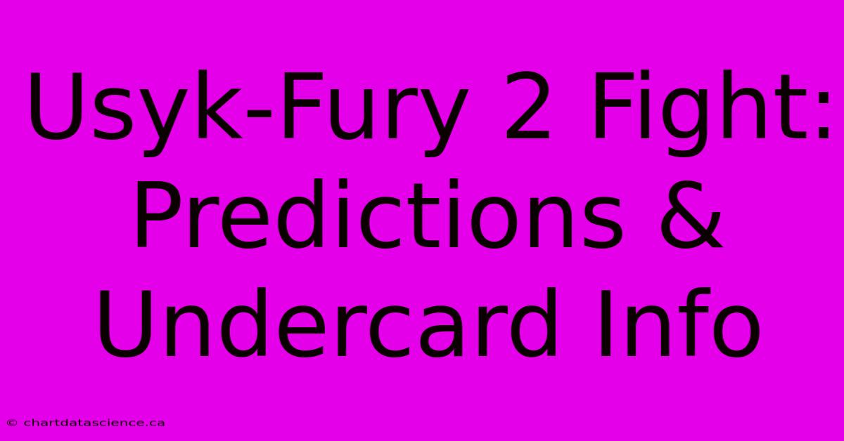 Usyk-Fury 2 Fight:  Predictions & Undercard Info