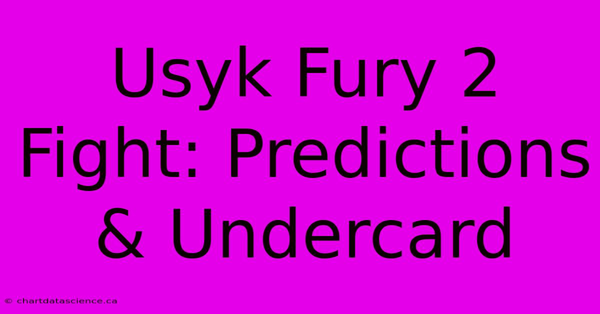 Usyk Fury 2 Fight: Predictions & Undercard