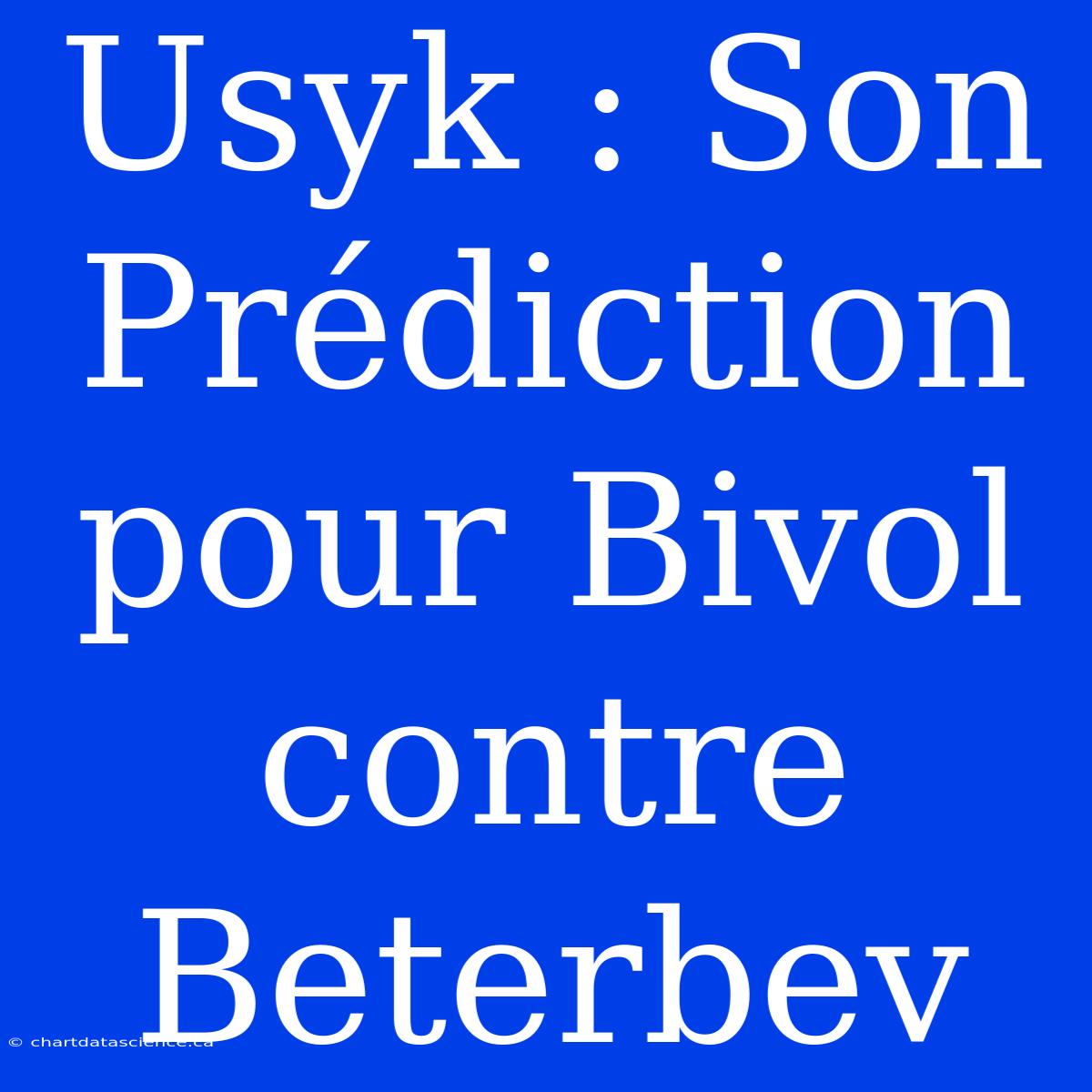 Usyk : Son Prédiction Pour Bivol Contre Beterbev