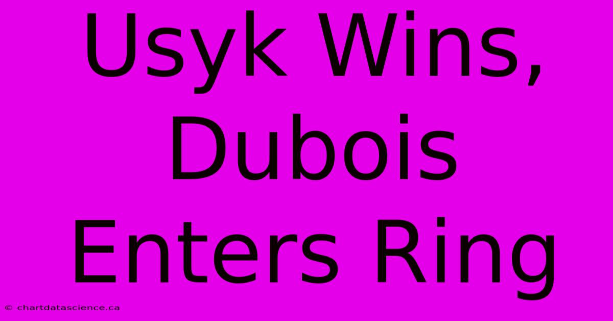 Usyk Wins, Dubois Enters Ring