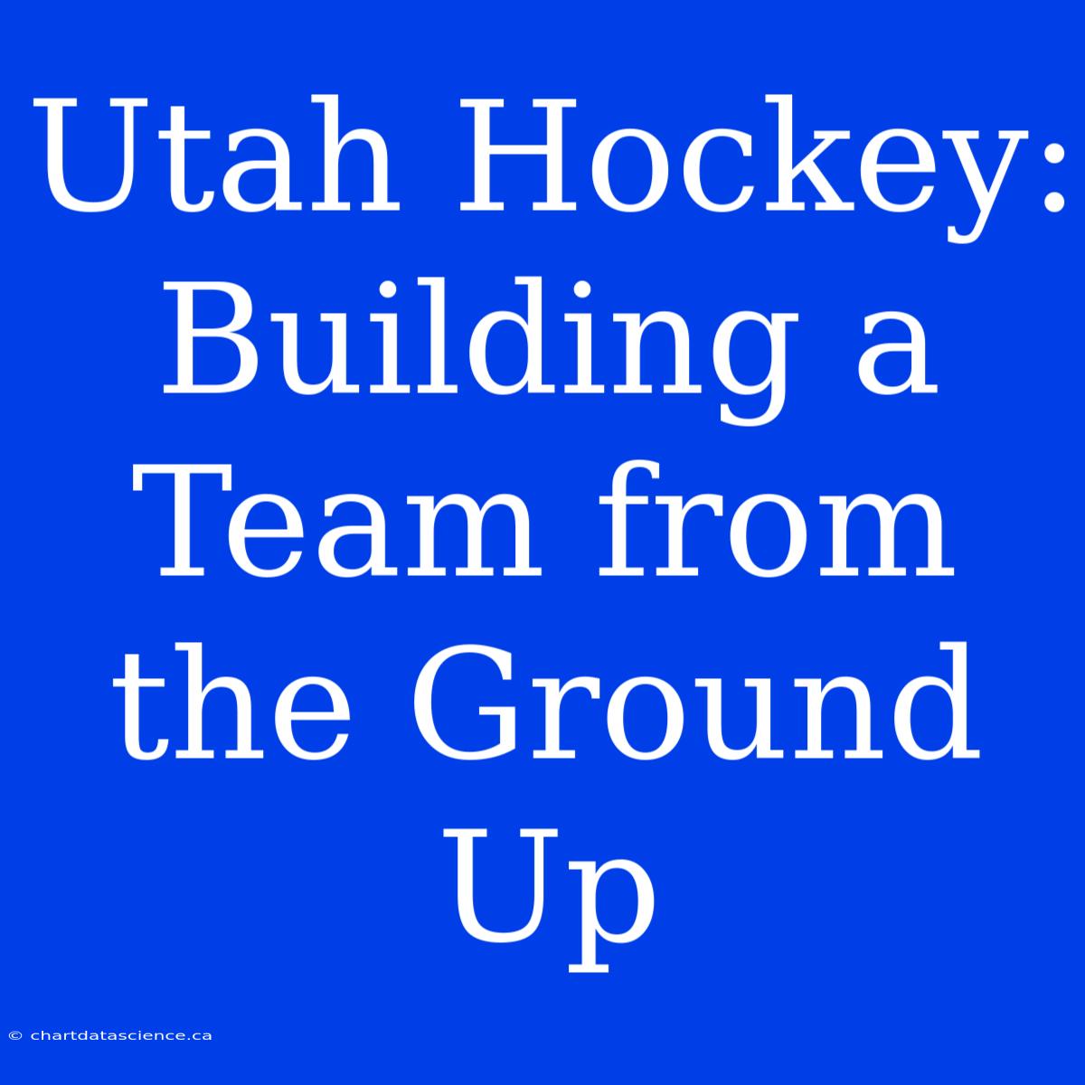 Utah Hockey: Building A Team From The Ground Up