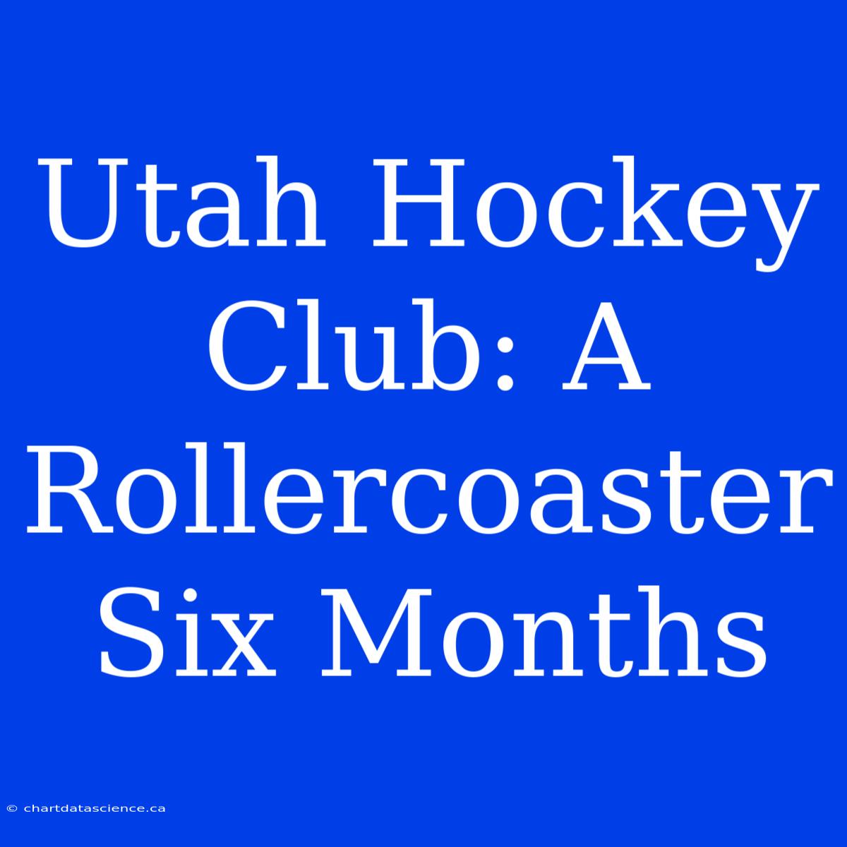 Utah Hockey Club: A Rollercoaster Six Months