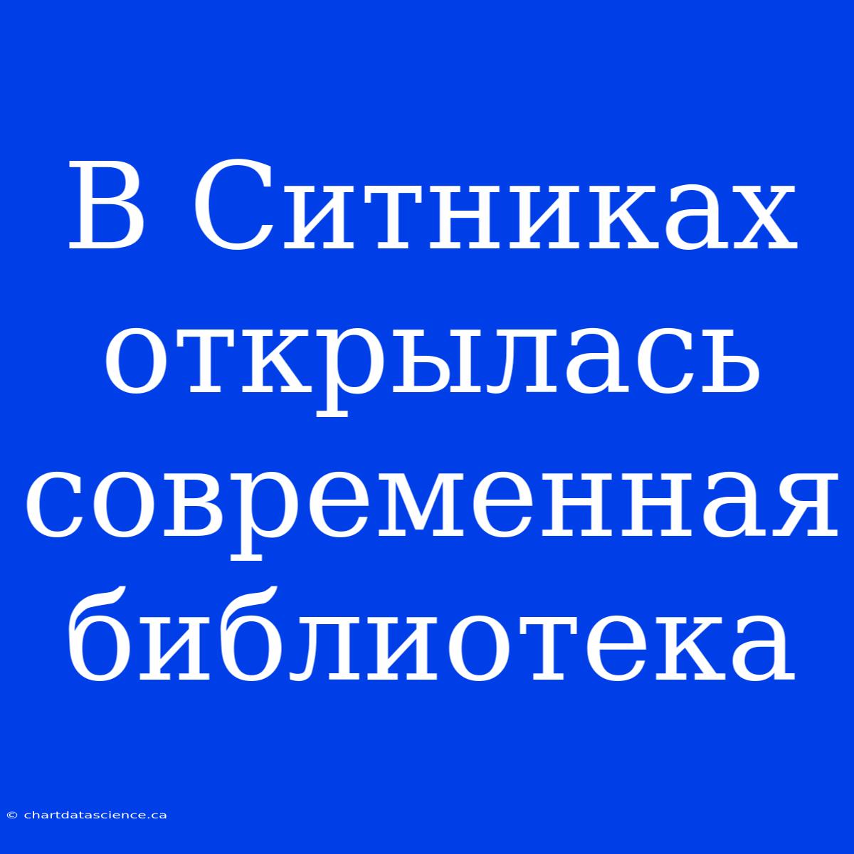 В Ситниках Открылась Современная Библиотека