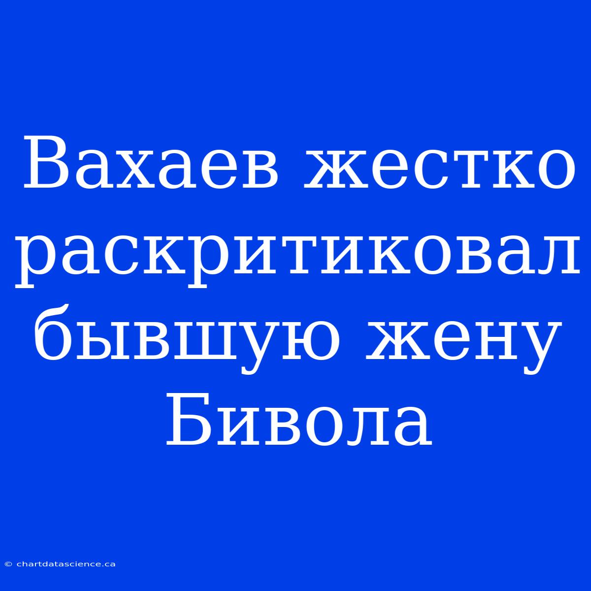 Вахаев Жестко Раскритиковал Бывшую Жену Бивола