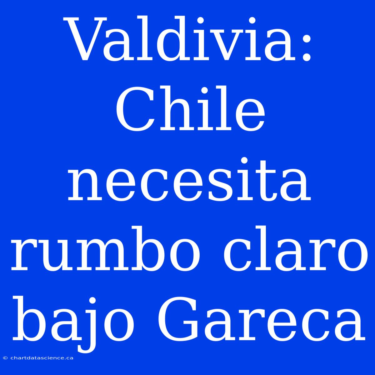 Valdivia: Chile Necesita Rumbo Claro Bajo Gareca