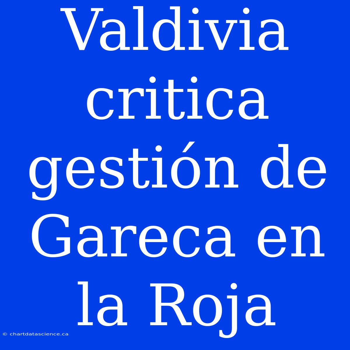 Valdivia Critica Gestión De Gareca En La Roja