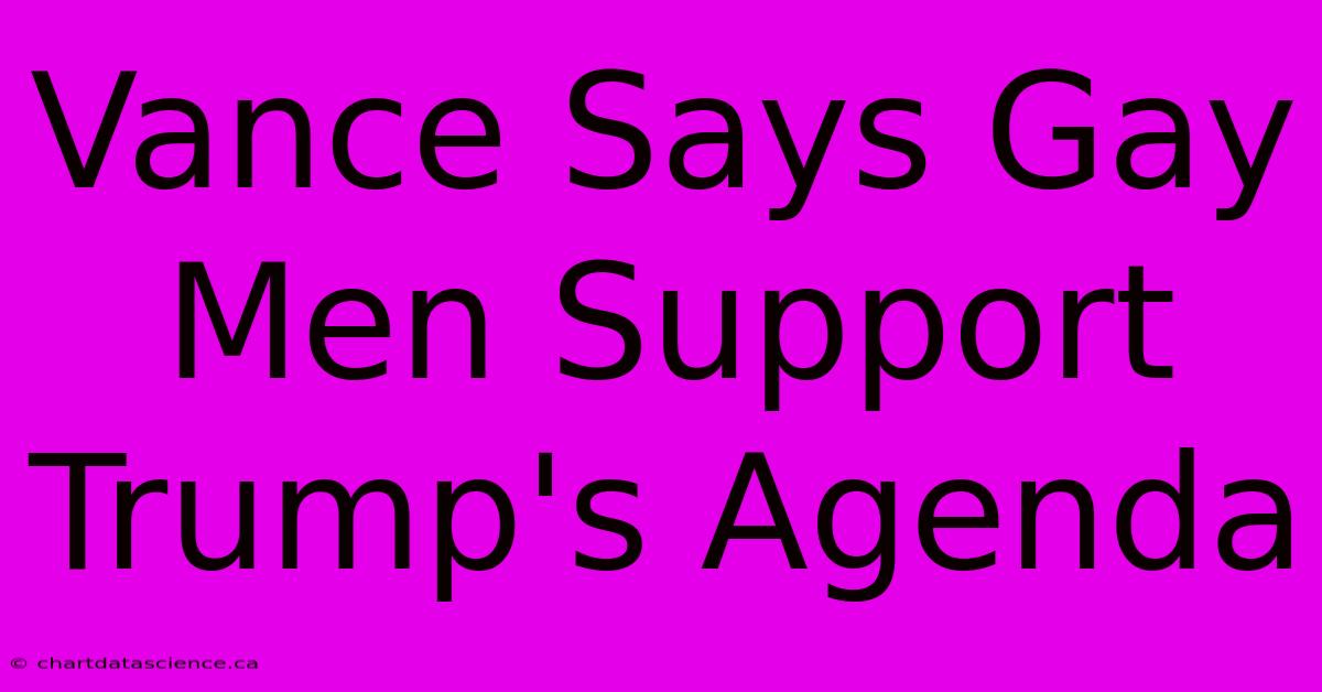 Vance Says Gay Men Support Trump's Agenda 