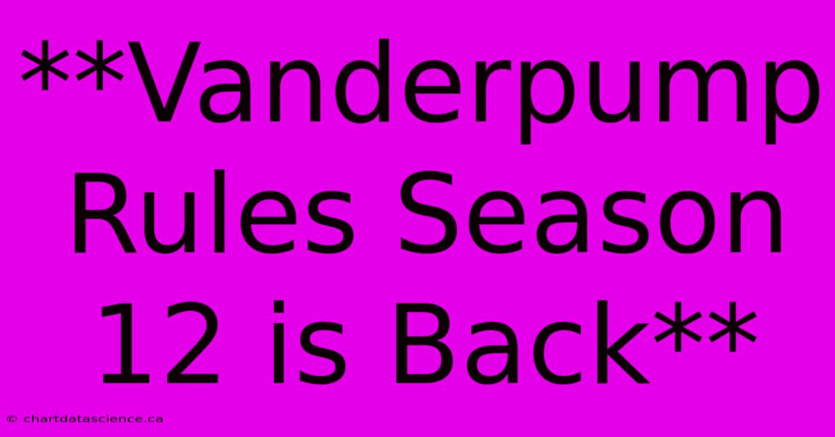 **Vanderpump Rules Season 12 Is Back**