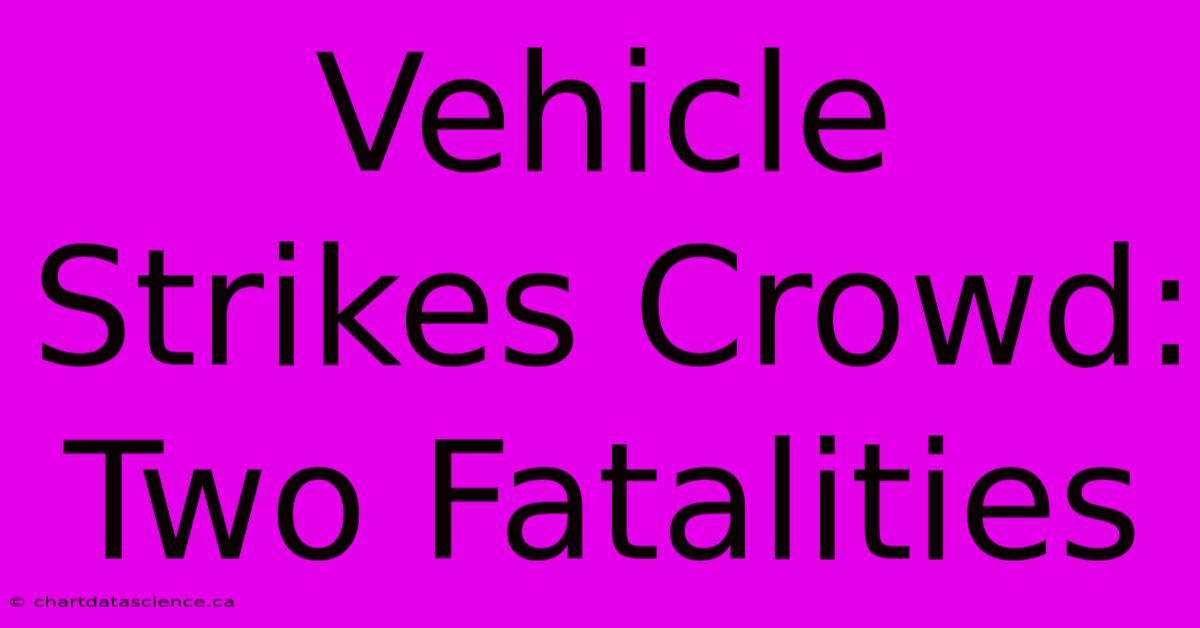 Vehicle Strikes Crowd: Two Fatalities