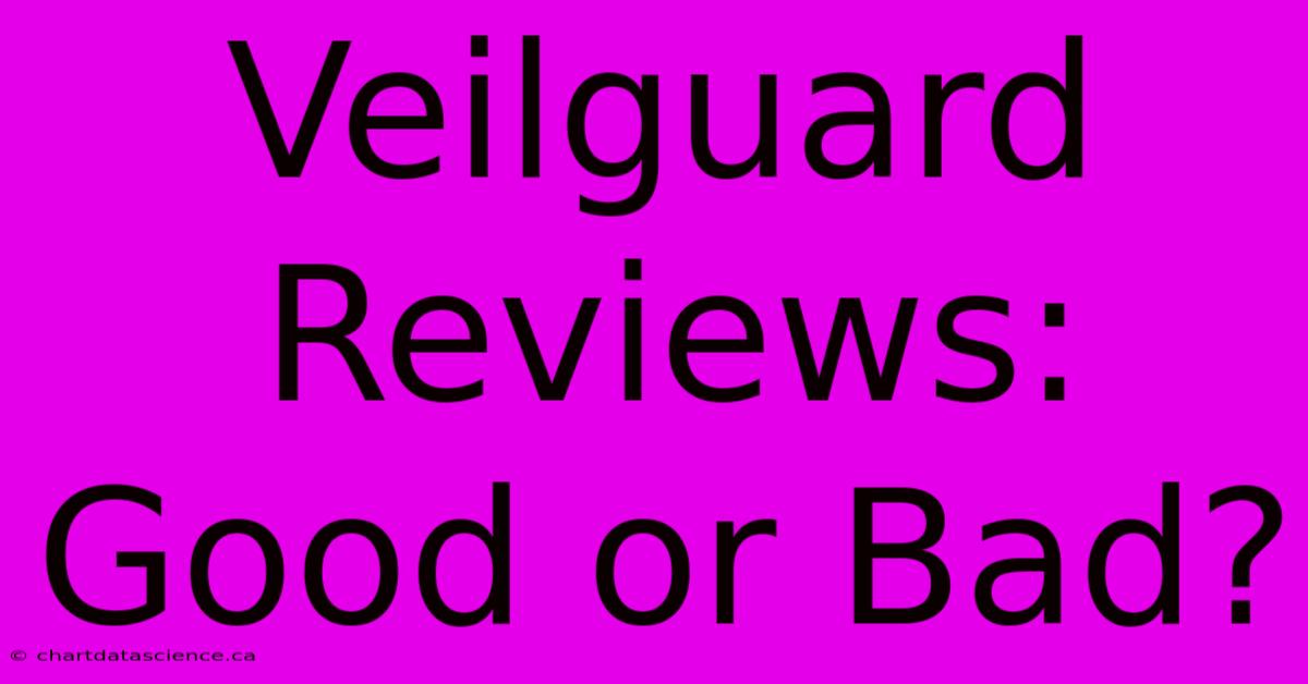 Veilguard Reviews: Good Or Bad?