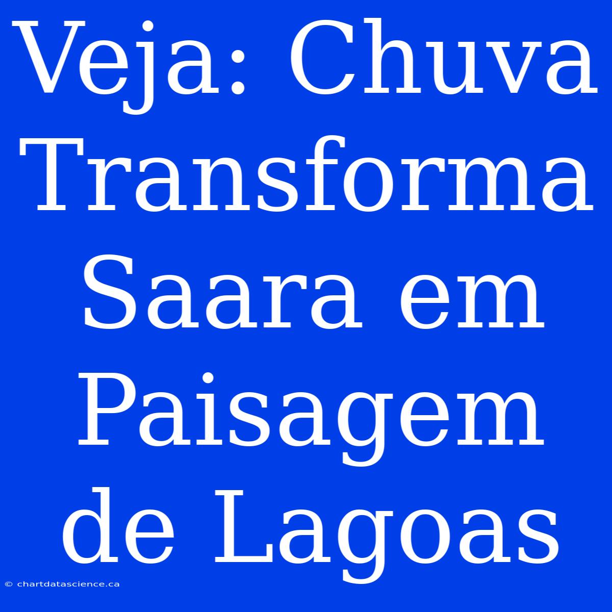 Veja: Chuva Transforma Saara Em Paisagem De Lagoas