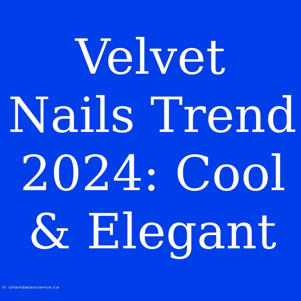 Velvet Nails Trend 2024: Cool & Elegant