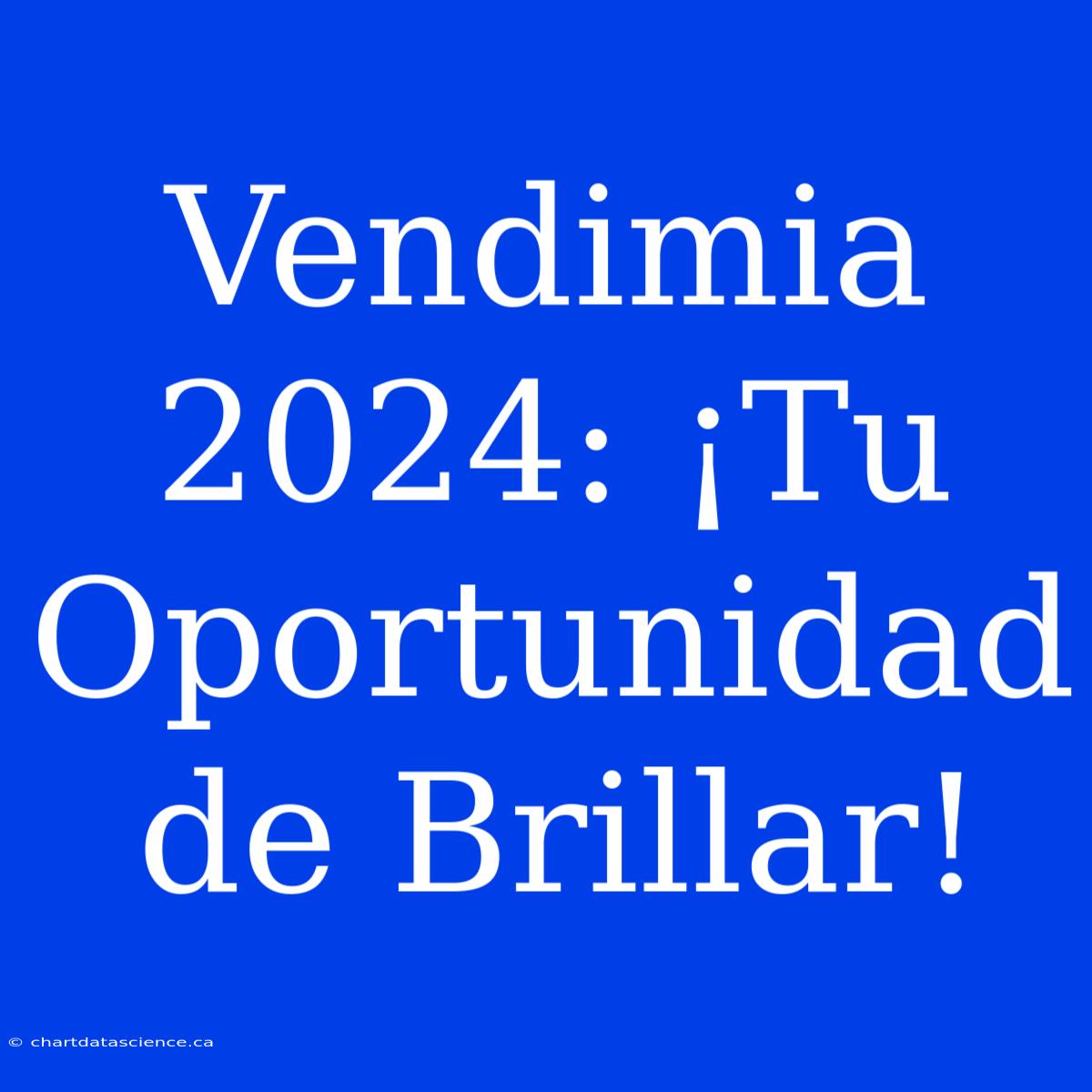 Vendimia 2024: ¡Tu Oportunidad De Brillar!