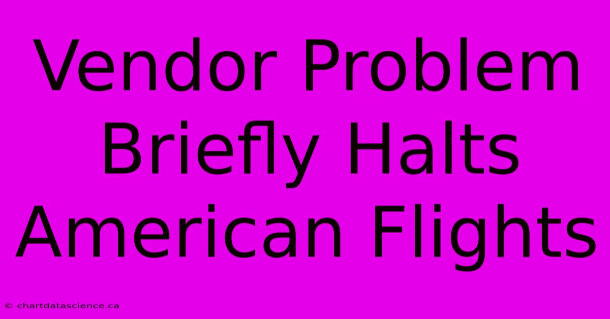 Vendor Problem Briefly Halts American Flights