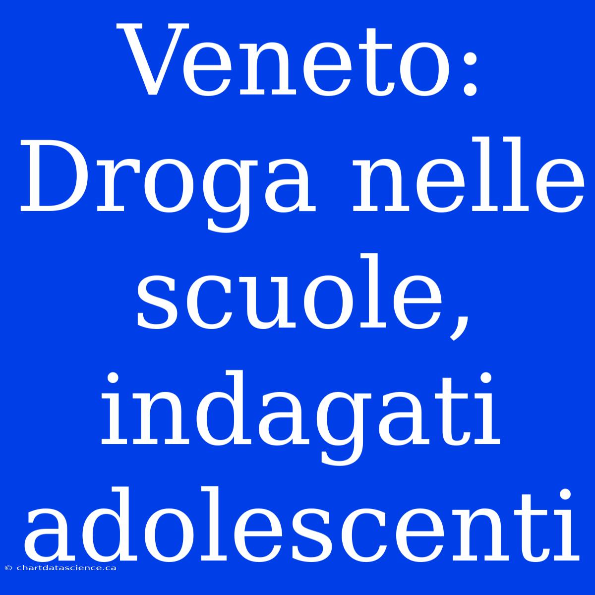 Veneto: Droga Nelle Scuole, Indagati Adolescenti