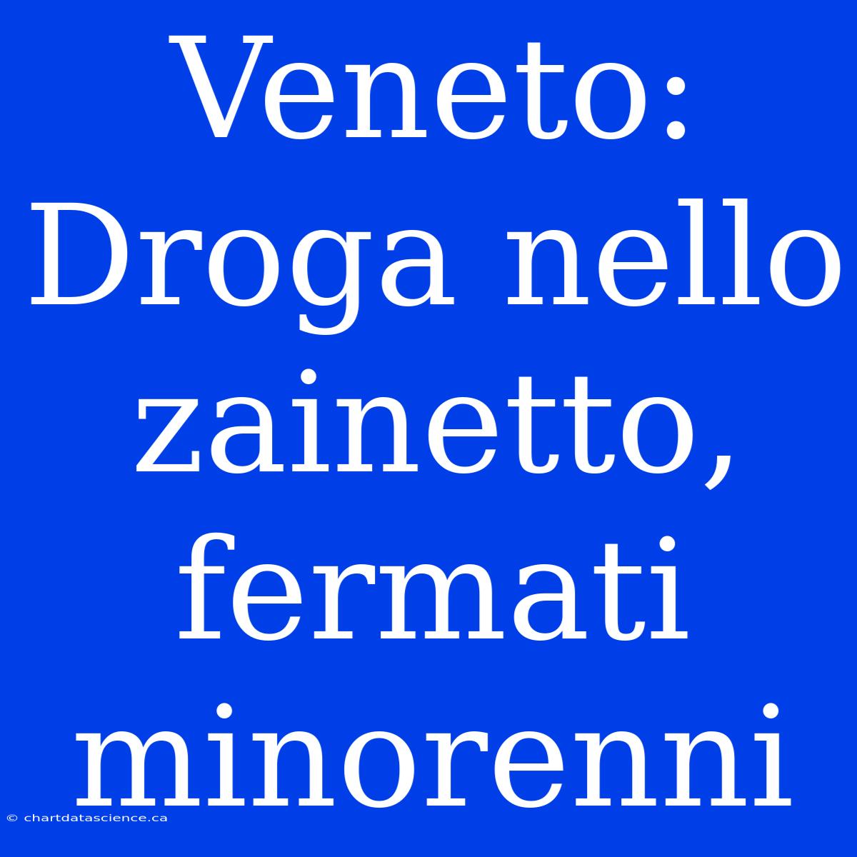 Veneto: Droga Nello Zainetto, Fermati Minorenni