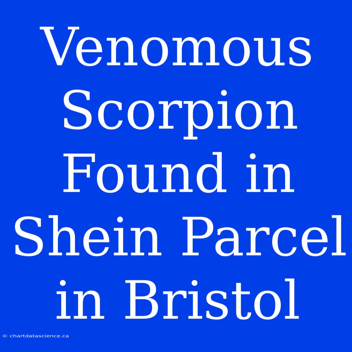 Venomous Scorpion Found In Shein Parcel In Bristol