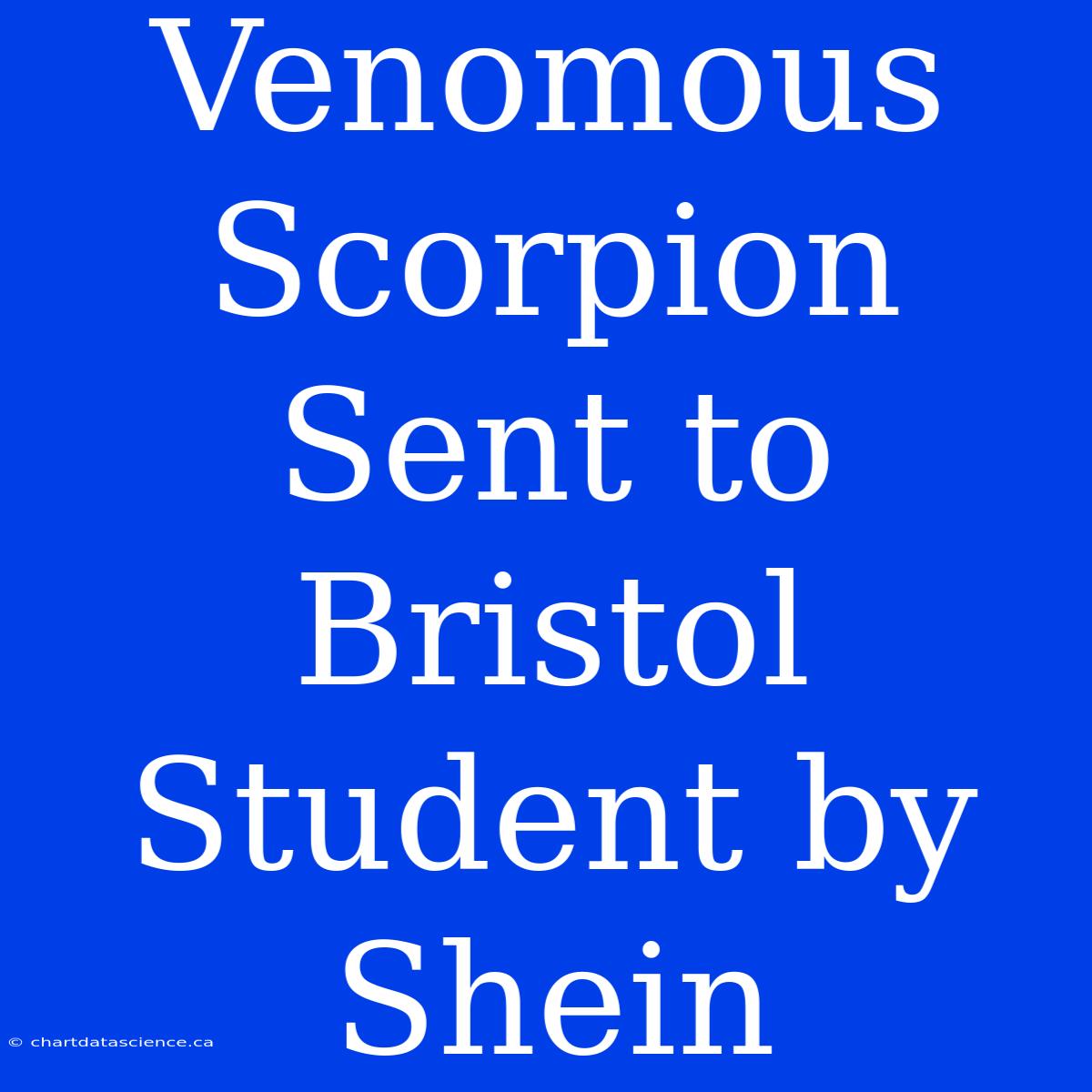 Venomous Scorpion Sent To Bristol Student By Shein