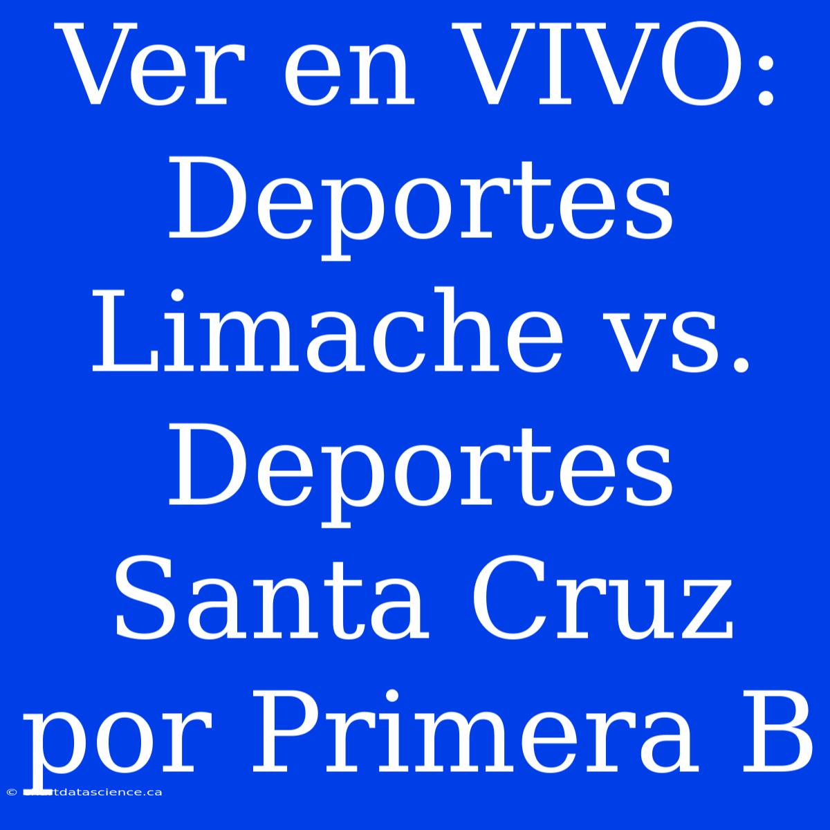 Ver En VIVO: Deportes Limache Vs. Deportes Santa Cruz Por Primera B