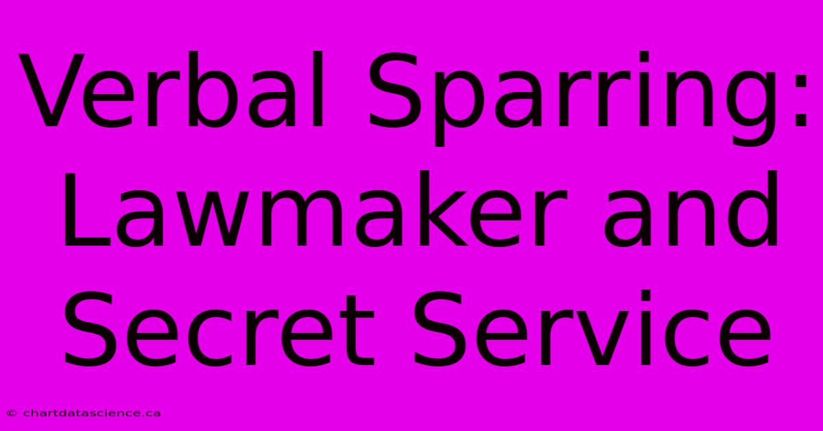 Verbal Sparring: Lawmaker And Secret Service