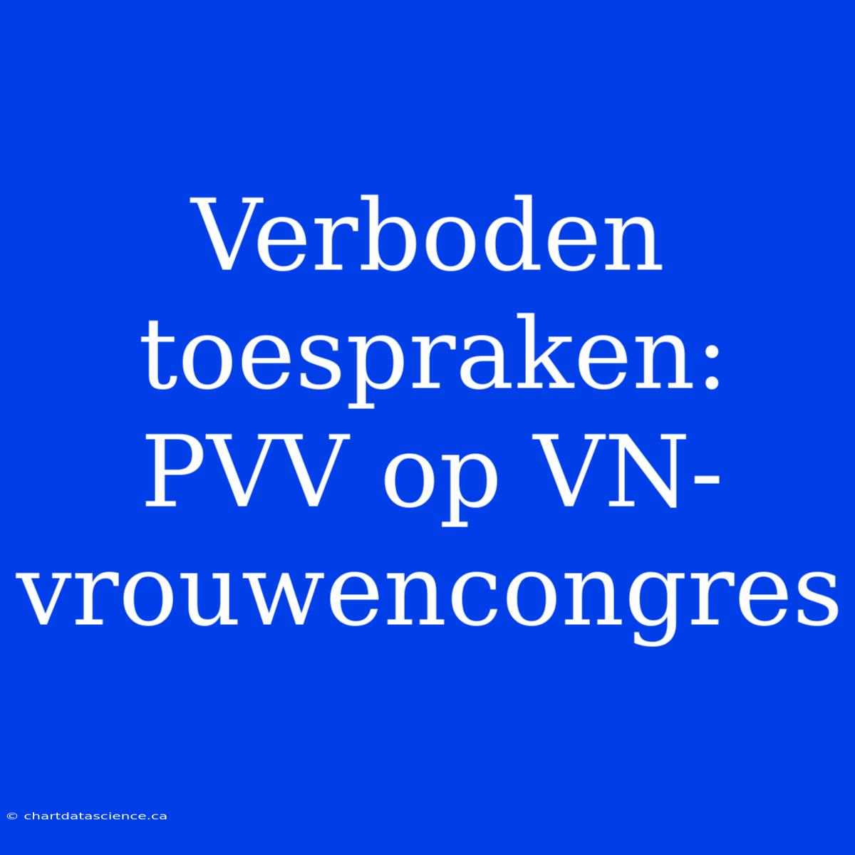 Verboden Toespraken: PVV Op VN-vrouwencongres