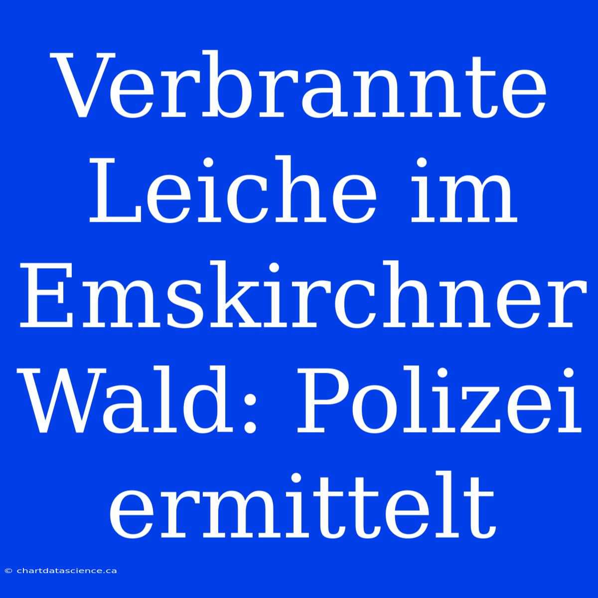 Verbrannte Leiche Im Emskirchner Wald: Polizei Ermittelt