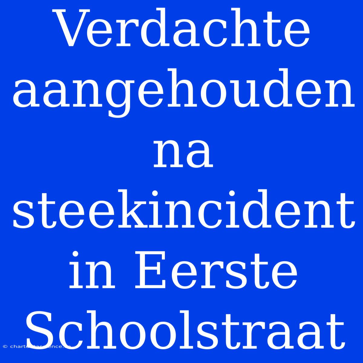 Verdachte Aangehouden Na Steekincident In Eerste Schoolstraat