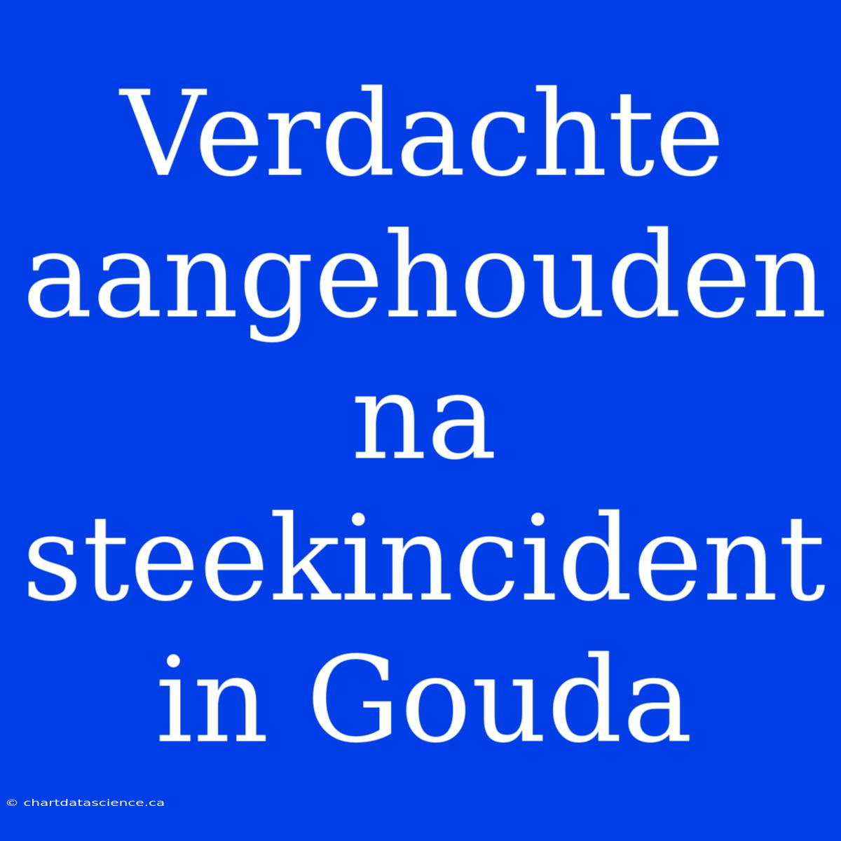 Verdachte Aangehouden Na Steekincident In Gouda